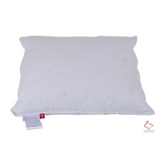 Sejs Dyner hovedpude - 3-kammer moskusdun hovedpude